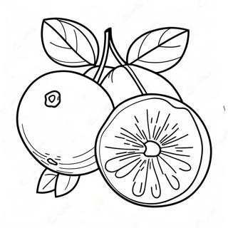 Helles Orangenfrucht Ausmalbild 100855-39352