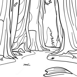 Kalifornischer Redwood-Wald Ausmalbild Ausmalbilder