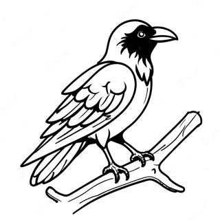 Rabe Der Auf Einem Ast Sitzt Ausmalbild 104227 42087