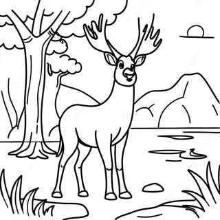 Ausmalbild Des Wildtiere Abenteuers Im Nationalpark 105051-42730