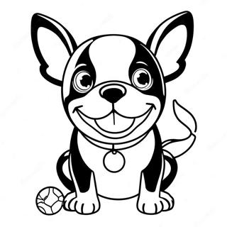 Glucklicher Boston Terrier Mit Ball Ausmalbild 105640-43199