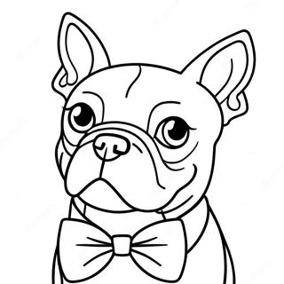 Boston Terrier Ausmalbilder