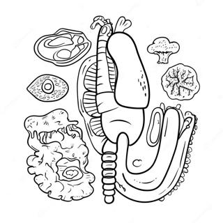 Spassiges Verdauungssystem Ausmalbild 107438 44604