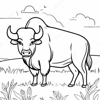 Majestatischer Buffel Auf Einem Feld Ausmalbild 107640 44755