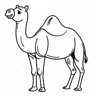 Kamel Ausmalbild 108772-45631