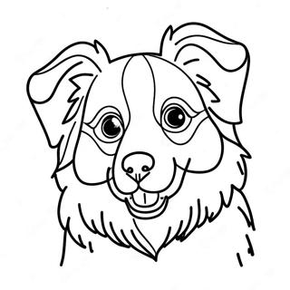 Australian Shepherd Ausmalbild 110881-47336