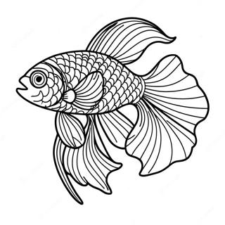 Eleganter Beta Fisch Mit Fliessenden Flossen Ausmalbild 112040-48270
