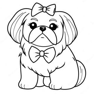 Flauschiger Shih Tzu Mit Schleife Ausmalbild 112703-48792