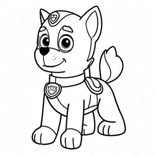Rocky Paw Patrol Ausmalbild 116387 51924