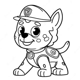 Rocky Paw Patrol In Aktion Ausmalbild 116388-51764