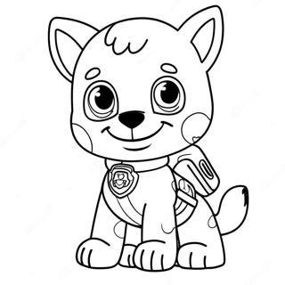 Rocky Paw Patrol Rettungsmission Ausmalbild 116391-51775