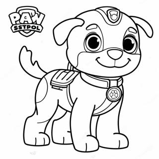 Rocky Paw Patrol Rettungsmission Ausmalbild 116391-51939
