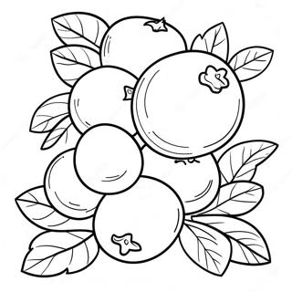 Realistischer Heidelbeerstrauch Ausmalbild 117935-53121