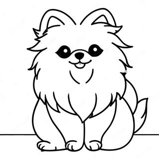 Pomeranian Ausmalbilder