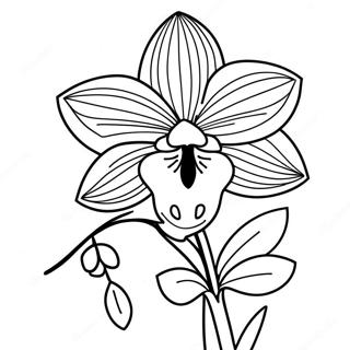 Schone Orchideenblume Ausmalbild 120554-55270