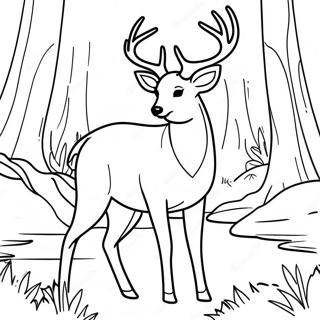 Majestatisches Reh Im Wald Ausmalbild 131230-64011