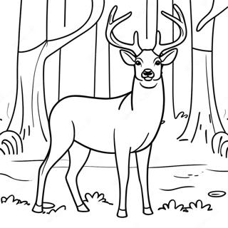 Majestatisches Reh Im Wald Ausmalbild 131230-64012