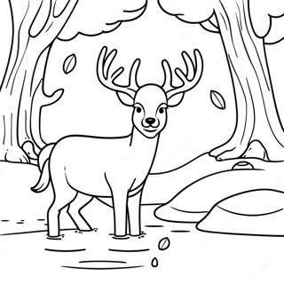 Sanftes Reh Beim Trinken Ausmalbild 131232-64018