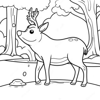 Sanftes Reh Beim Trinken Ausmalbild 131232-64019