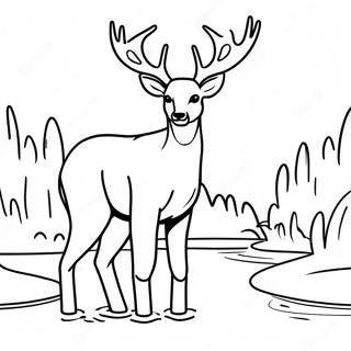 Sanftes Reh Beim Trinken Ausmalbild 131232-64020