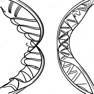 Dna Doppelhelix Ausmalbild 138004-69436