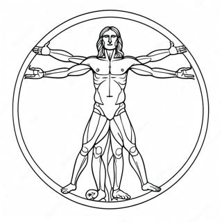 Vitruvianischer Mensch Mit Detaillierter Anatomie Ausmalbild 139105 70304