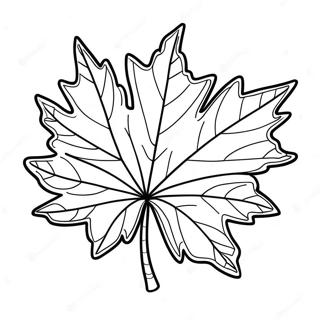 Detailliertes Ahornblatt Ausmalbild 26336-5748