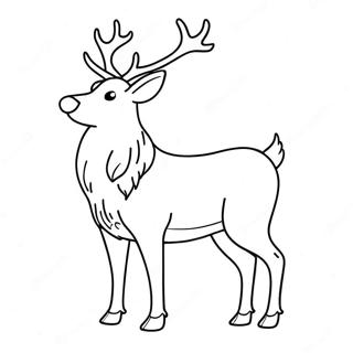 Majestatisches Realistisches Rentier Ausmalbild 65544 14336