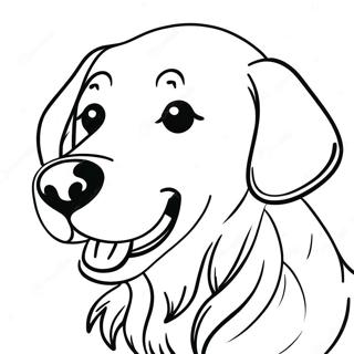 Golden Retriever Mit Ball Ausmalbild 67435 14764