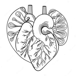 Buntes Herz Anatomie Ausmalbild 69122-15139