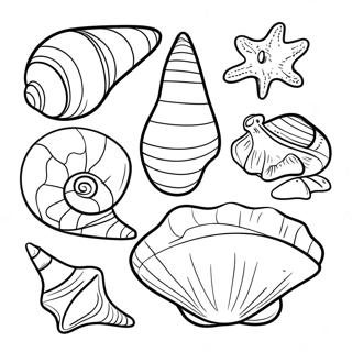 Realistische Ozean Muscheln Ausmalbild 74141-17524