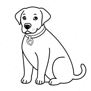 Labrador Ausmalbild 81981-23574