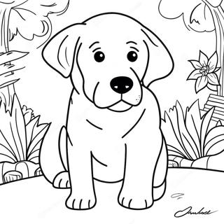 Labrador Ausmalbild 81981-23576