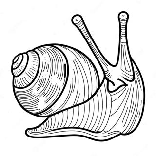 Schnecke Ausmalbilder