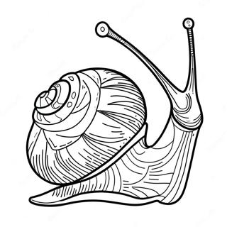 Schnecke Ausmalbild 86978-27591