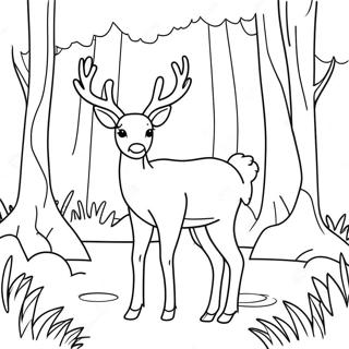 Anmutiger Hirsch Im Wald Ausmalbild 92326-31993