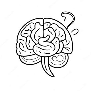 Gehirn Mit Gluhbirnenidee Ausmalbild 94310-33610