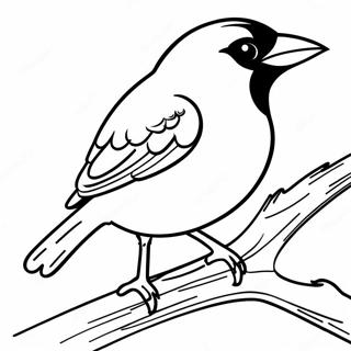 Oriolen Mit Leuchtenden Federn Ausmalbild 99397 38032