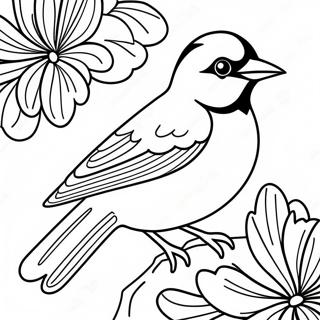 Oriolen Ausmalbilder